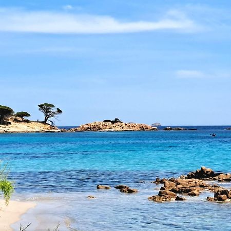 פורטו-וישיו Le Berceau D'Asciaghju Palombaggia - Acces Plage Et Piscine Privee מראה חיצוני תמונה