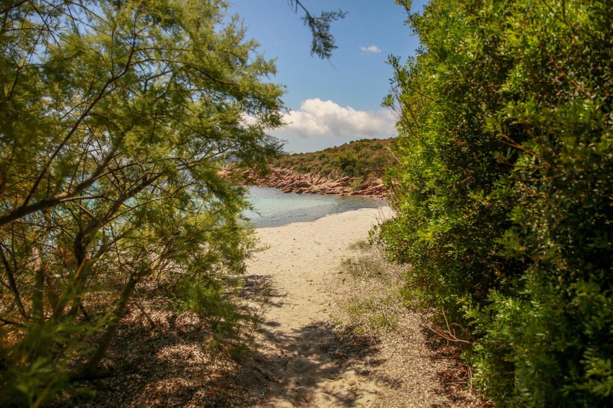 פורטו-וישיו Le Berceau D'Asciaghju Palombaggia - Acces Plage Et Piscine Privee מראה חיצוני תמונה